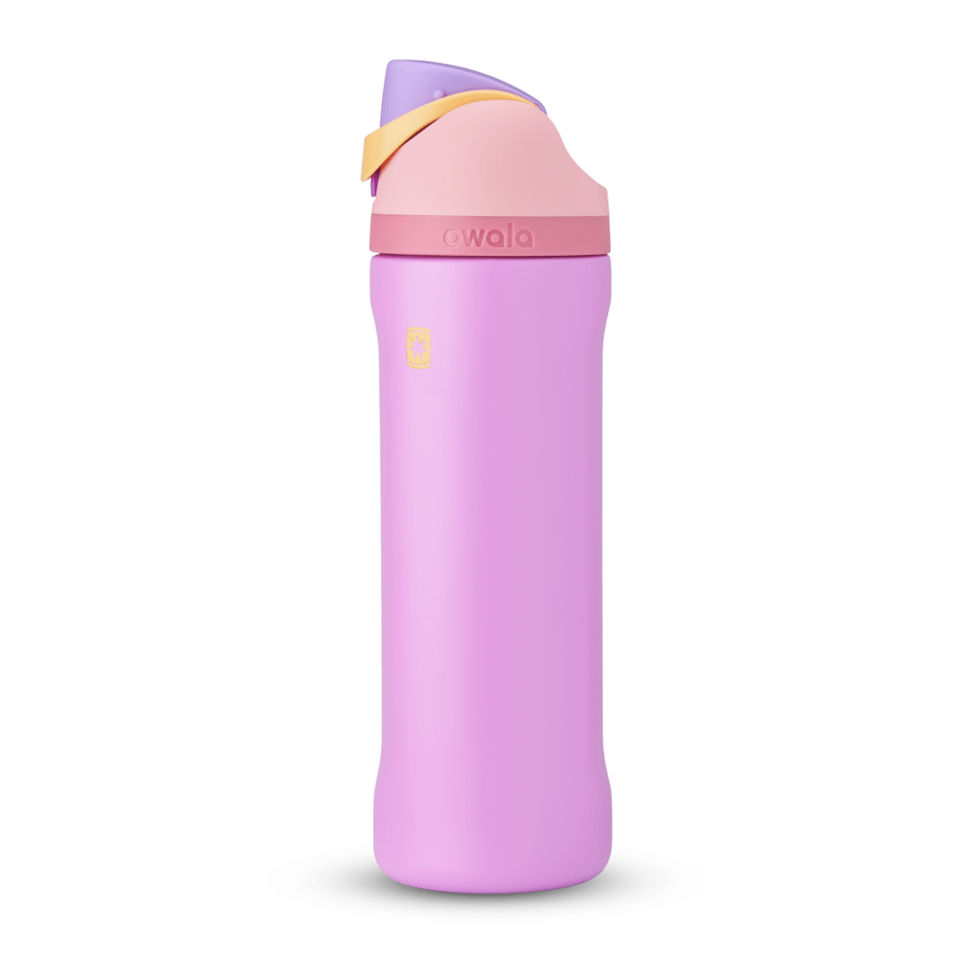 Disney Princess Collection (CT37)