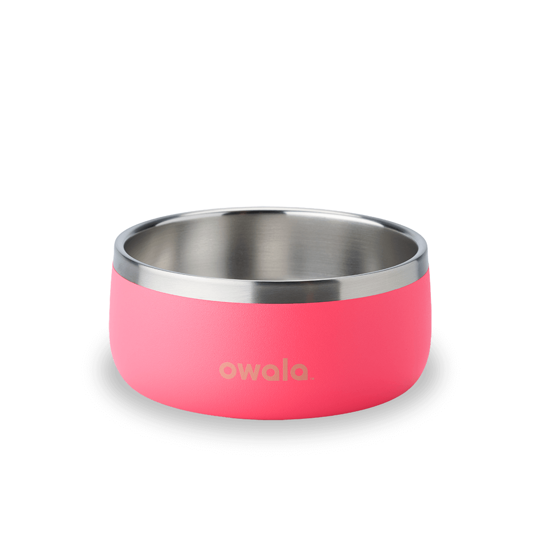 Pet Bowl (KPKF)