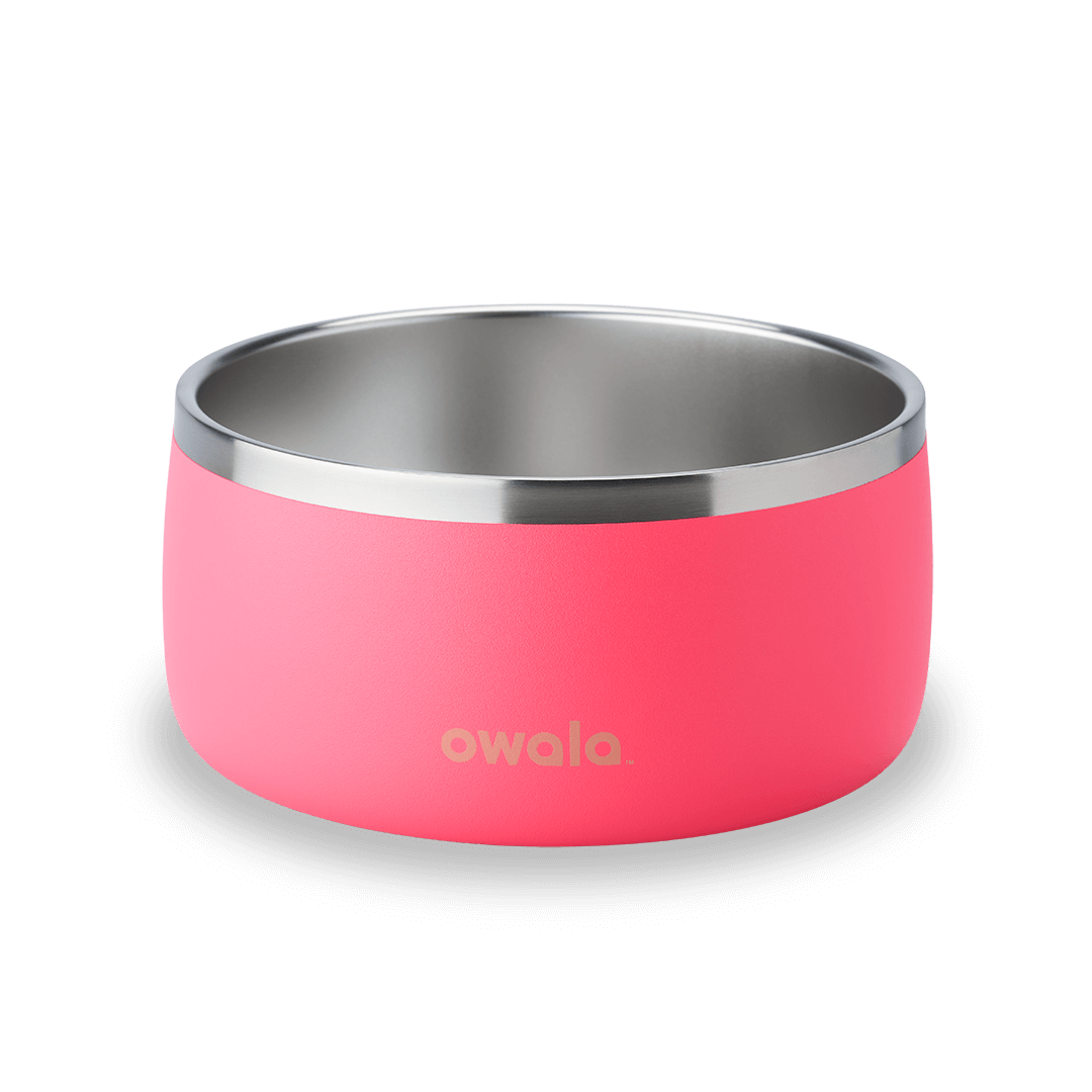 Pet Bowl (KPKF)